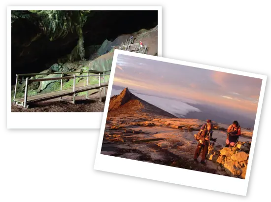 About Borneo Travel Network About Borneo Travel Network