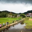 3D2N Bario Highlands 3D2N Bario Highlands
