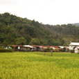 3D2N Bario Highlands 3D2N Bario Highlands