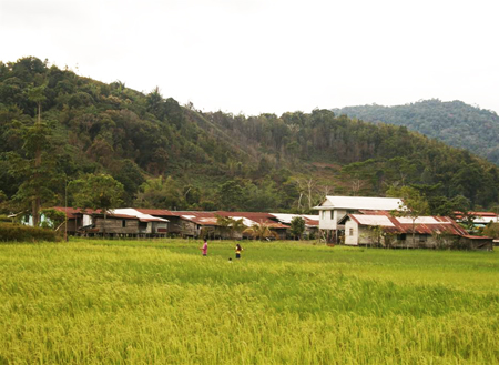 3D2N Bario Highlands 3D2N Bario Highlands