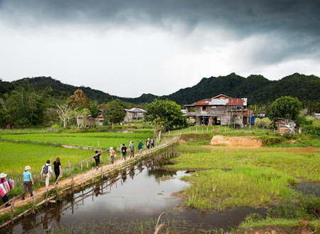4D3N Bario Highlands Adventure 4D3N Bario Highlands Adventure