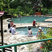 Kinabalu Park + Poring Hot Spring Kinabalu Park + Poring Hot Spring
