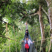 Kinabalu Park + Poring Hot Spring Kinabalu Park + Poring Hot Spring