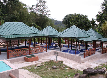 Kinabalu Park + Poring Hot Spring Kinabalu Park + Poring Hot Spring