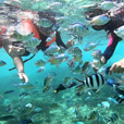 Mantanani Island Mantanani Island