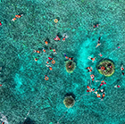 Mengalum Island Mengalum Island