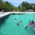 Pulau Tiga (Survivor Island) Pulau Tiga (Survivor Island)