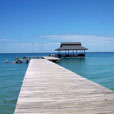 Pulau Tiga (Survivor Island) Pulau Tiga (Survivor Island)