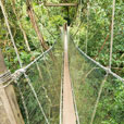 2D1N Kinabalu Park + Poring Hot Spring 2D1N Kinabalu Park + Poring Hot Spring