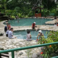 2D1N Kinabalu Park + Poring Hot Spring 2D1N Kinabalu Park + Poring Hot Spring