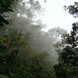 3D2N Mount Kinabalu Explorer 3D2N Mount Kinabalu Explorer