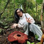 Tambunan Rafflesia Centre Tambunan Rafflesia Centre