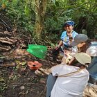 Tambunan Rafflesia Centre Tambunan Rafflesia Centre