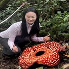 Tambunan Rafflesia Centre Tambunan Rafflesia Centre