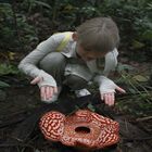 Tambunan Rafflesia Centre Tambunan Rafflesia Centre