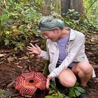 Tambunan Rafflesia Centre Tambunan Rafflesia Centre