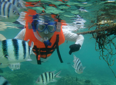 3D2N Kota Kinabalu + Island Excursion 3D2N Kota Kinabalu + Island Excursion