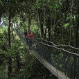 3D2N Kota Kinabalu + Kinabalu Park Heritage 3D2N Kota Kinabalu + Kinabalu Park Heritage