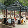 3D2N Kota Kinabalu + Kinabalu Park Heritage ( 1 night at Kundasang ) 3D2N Kota Kinabalu + Kinabalu Park Heritage ( 1 night at Kundasang )