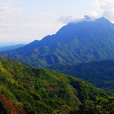 3D2N Kota Kinabalu + Kinabalu Park Heritage ( 1 night at Kundasang ) 3D2N Kota Kinabalu + Kinabalu Park Heritage ( 1 night at Kundasang )