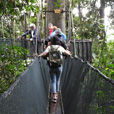 3D2N Kota Kinabalu + Kinabalu Park Heritage ( 1 night at Kundasang ) 3D2N Kota Kinabalu + Kinabalu Park Heritage ( 1 night at Kundasang )