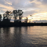 Mari Mari Cultural Village + Mangrove Cruise & Fireflies Mari Mari Cultural Village + Mangrove Cruise & Fireflies