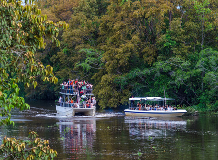 Mari Mari Cultural Village + Mangrove Cruise & Fireflies Mari Mari Cultural Village + Mangrove Cruise & Fireflies