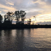 Klias Mangrove & Fireflies Klias Mangrove & Fireflies