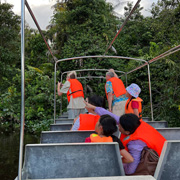 Klias Mangrove & Fireflies Klias Mangrove & Fireflies