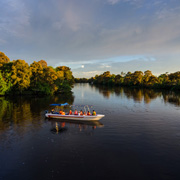 Klias Mangrove & Fireflies Klias Mangrove & Fireflies
