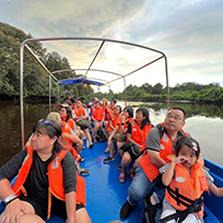 Klias Mangrove & Fireflies Klias Mangrove & Fireflies
