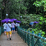 3D2N Kundasang + Kinabalu Park Heritage 3D2N Kundasang + Kinabalu Park Heritage