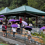 3D2N Kundasang + Kinabalu Park Heritage 3D2N Kundasang + Kinabalu Park Heritage