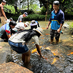 3D2N Kundasang + Kinabalu Park Heritage 3D2N Kundasang + Kinabalu Park Heritage