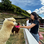 3D2N Kundasang + Kinabalu Park Heritage 3D2N Kundasang + Kinabalu Park Heritage