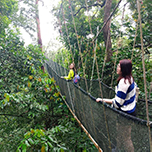 3D2N Kundasang + Kinabalu Park Heritage 3D2N Kundasang + Kinabalu Park Heritage