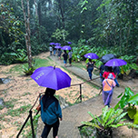 3D2N Kundasang + Kinabalu Park Heritage 3D2N Kundasang + Kinabalu Park Heritage
