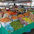 4D3N Kota Kinabalu + Kinabalu Park Heritage + Island Excursion 4D3N Kota Kinabalu + Kinabalu Park Heritage + Island Excursion