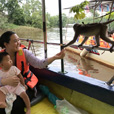Bongawan Mangrove Cruise + Sky Mirror + Fireflies Bongawan Mangrove Cruise + Sky Mirror + Fireflies