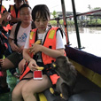 Bongawan Mangrove Cruise + Sky Mirror + Fireflies Bongawan Mangrove Cruise + Sky Mirror + Fireflies