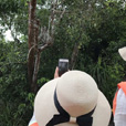 Bongawan Mangrove Cruise + Sky Mirror + Fireflies Bongawan Mangrove Cruise + Sky Mirror + Fireflies