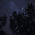 Bongawan Mangrove Cruise + Sky Mirror + Fireflies Bongawan Mangrove Cruise + Sky Mirror + Fireflies