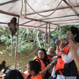 Bongawan Mangrove Cruise + Sky Mirror + Fireflies Bongawan Mangrove Cruise + Sky Mirror + Fireflies