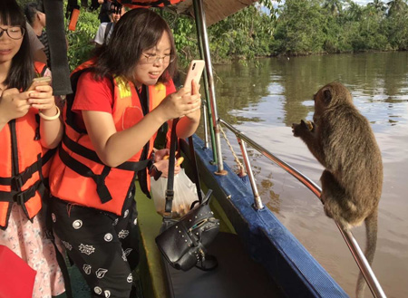 Bongawan Mangrove Cruise + Sky Mirror + Fireflies Bongawan Mangrove Cruise + Sky Mirror + Fireflies