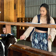 Kundasang ATV + Desa Cow Farm Kundasang ATV + Desa Cow Farm