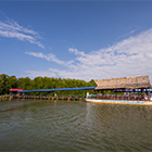 BINSULUK RIVER CRUISE (Probasics Monkey & Fireflies) BINSULUK RIVER CRUISE (Probasics Monkey & Fireflies)