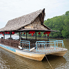 BINSULUK RIVER CRUISE (Probasics Monkey & Fireflies) BINSULUK RIVER CRUISE (Probasics Monkey & Fireflies)