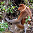 Bako National Park Bako National Park