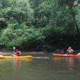 Semadang River Kayaking  Semadang River Kayaking
