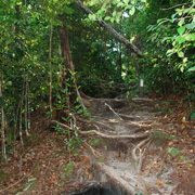 3D2N Bako National Park - Natural Trekking 3D2N Bako National Park - Natural Trekking